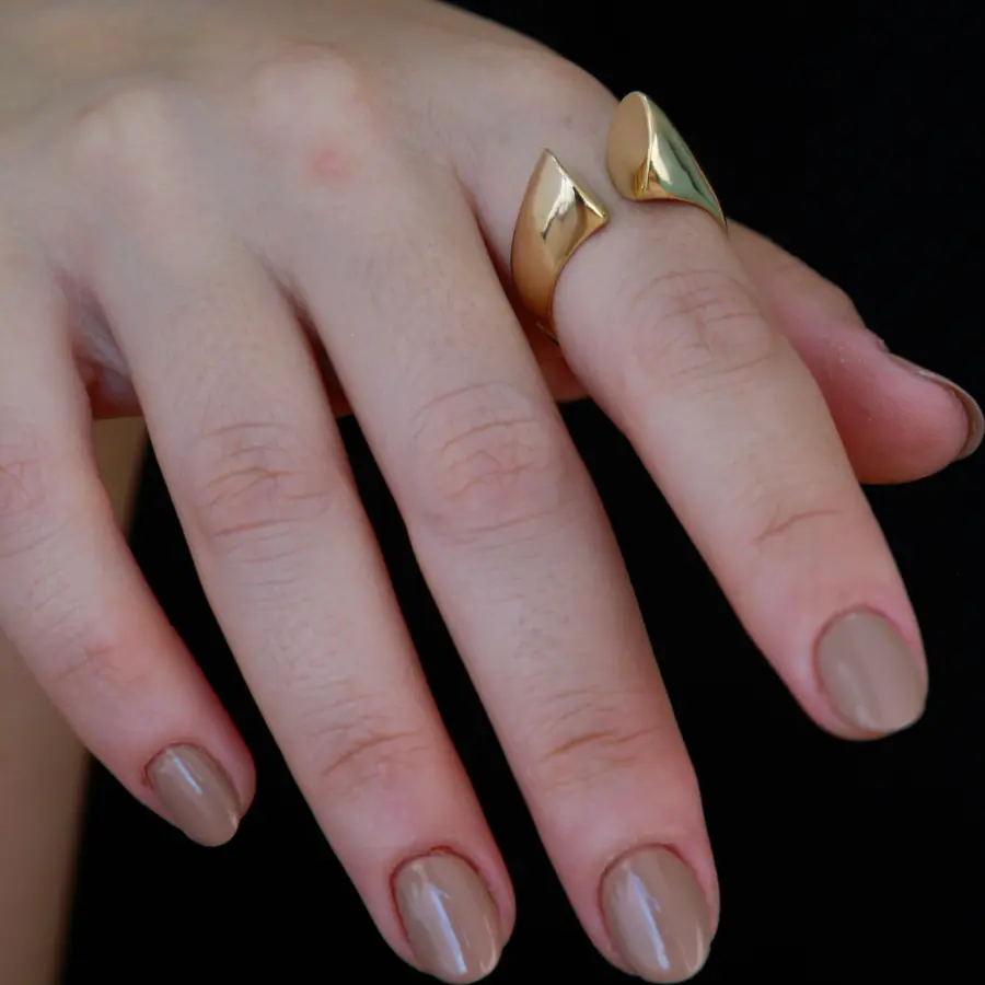 Anel Liso